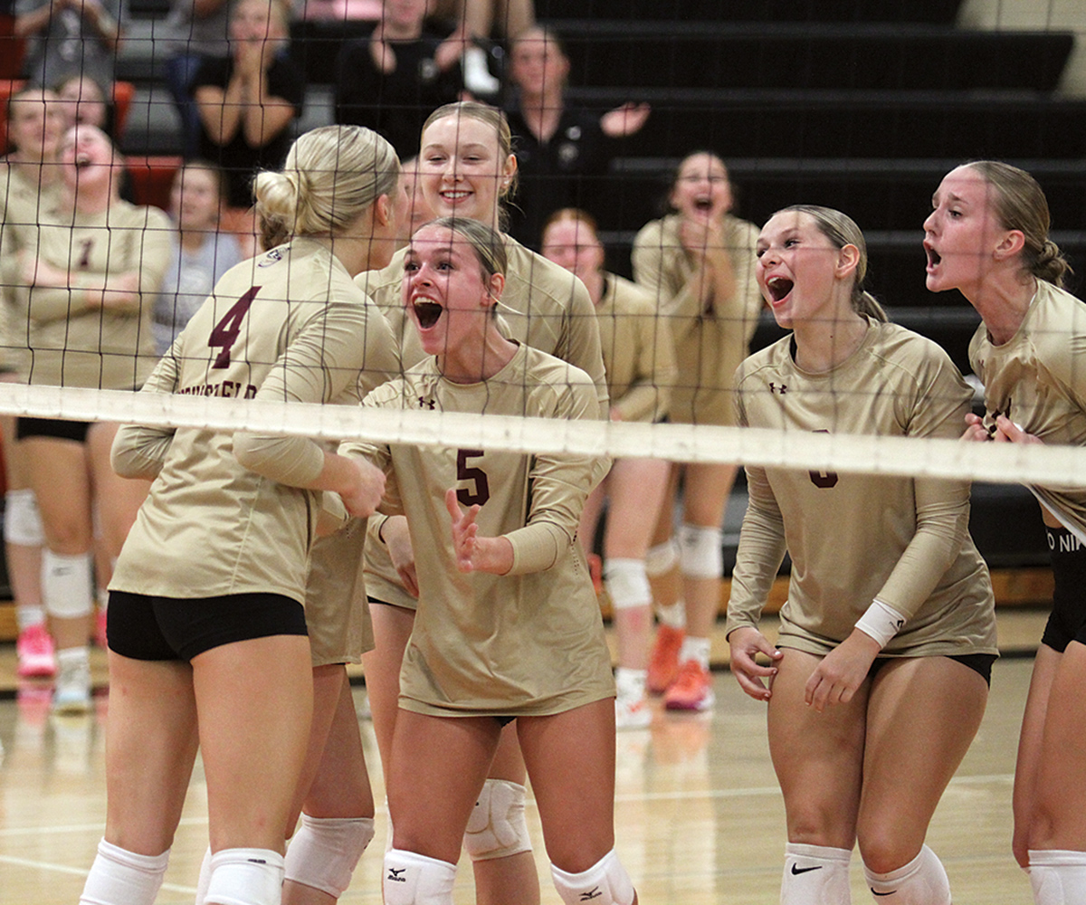Tigers battle back, down MLA/C in 5 | News, Sports, Jobs - The Journal